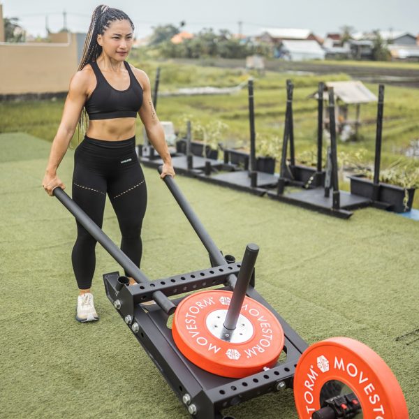 movestorm power sled og resistance training