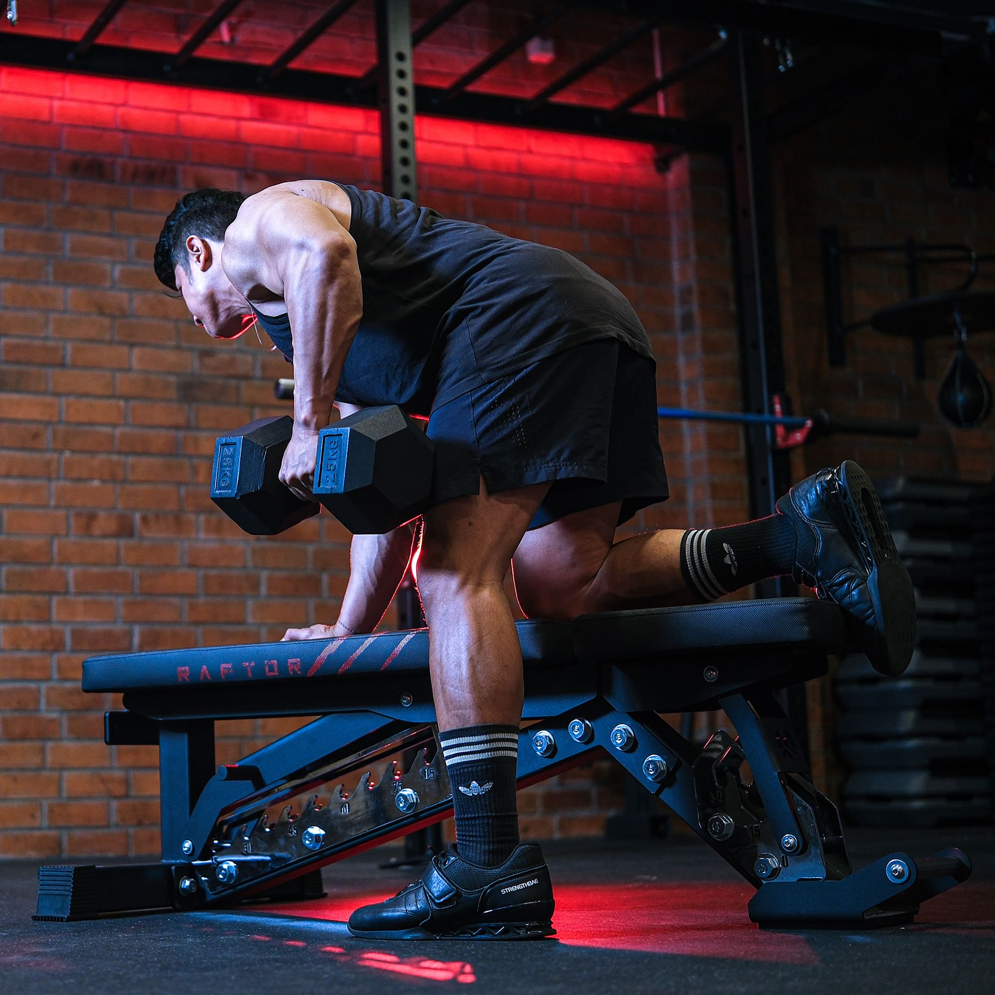 Raptor adjustable bench talent 10 Movestorm Raptor Adjustable Bench – multi-angle steel strength bench