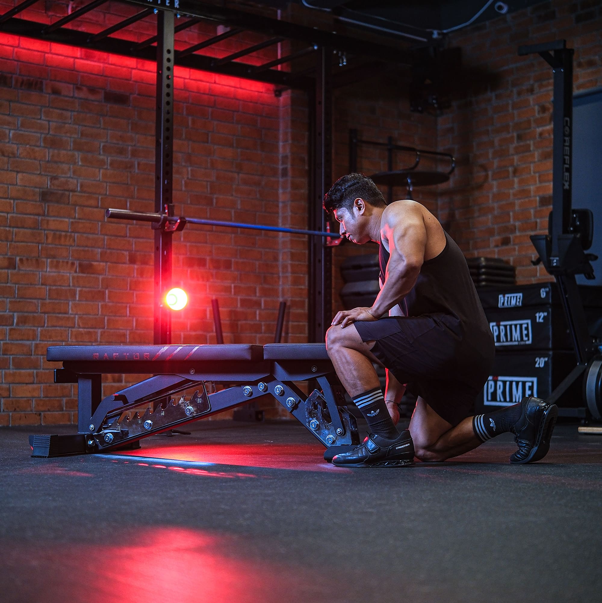 Raptor adjustable bench talent 12 Movestorm Raptor Adjustable Bench – multi-angle steel strength bench